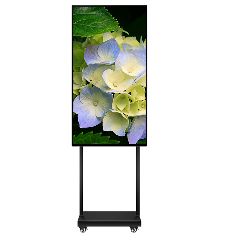 安顯800X800白底直播主圖3.jpg